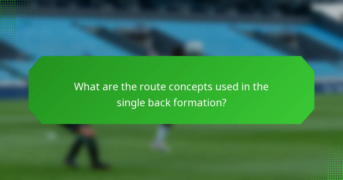 What are the route concepts used in the single back formation?